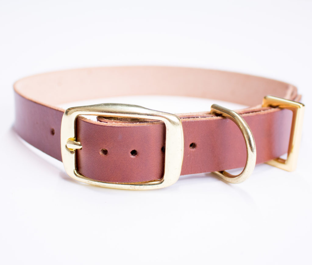 Brown Leather Dog Collar | Taza Leather Made in USA