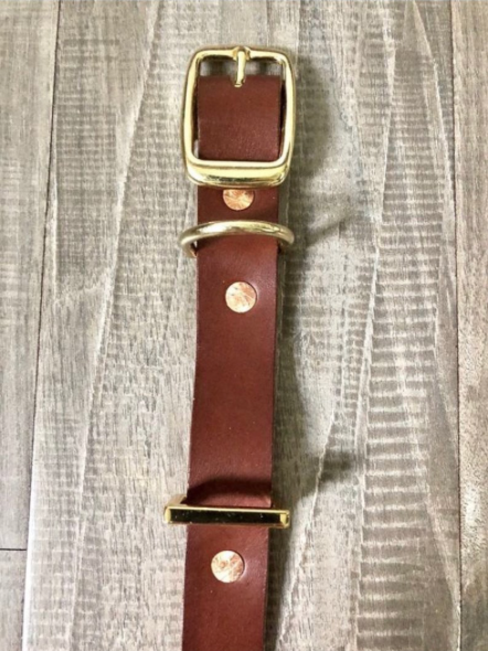 Brown Leather Dog Collar | Taza Leather Made in USA