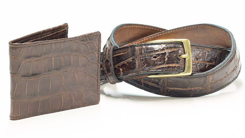 Alligator belts and accesories
