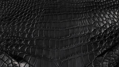 4 Things You Should Know About Alligator Leather