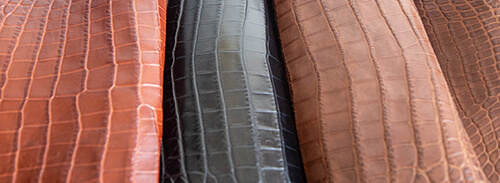 Alligator Skins