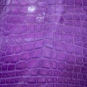 Chocolate Patchwork World Best Alligator ~ Gator Skin main image 1