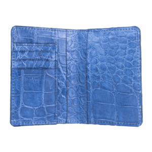 Deep Blue Explorer 2