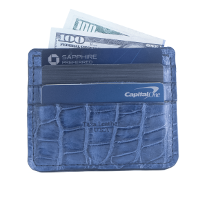 Large Winter Park- deep blue 3